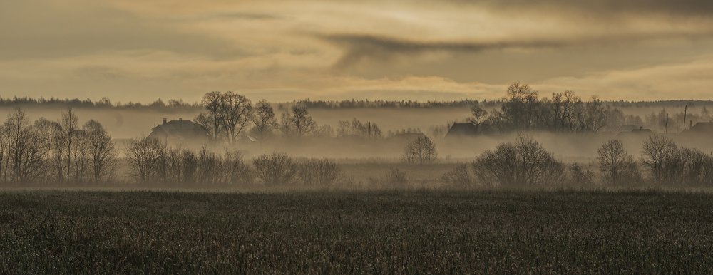 Туманное утро
