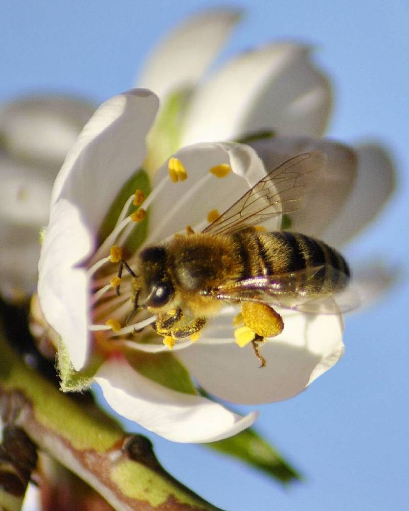 Photograph by Вячеслав