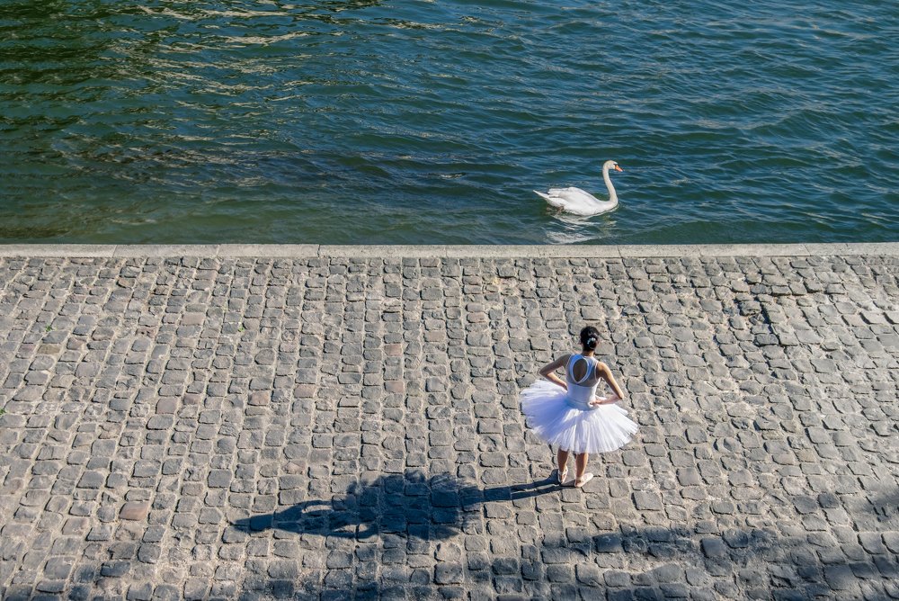 Le cygne et la ballerine
