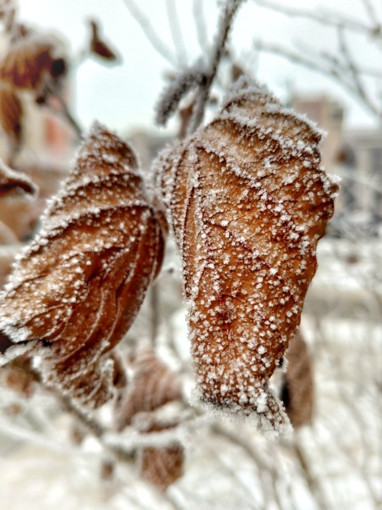 Photograph by Татьяна Лисянская
