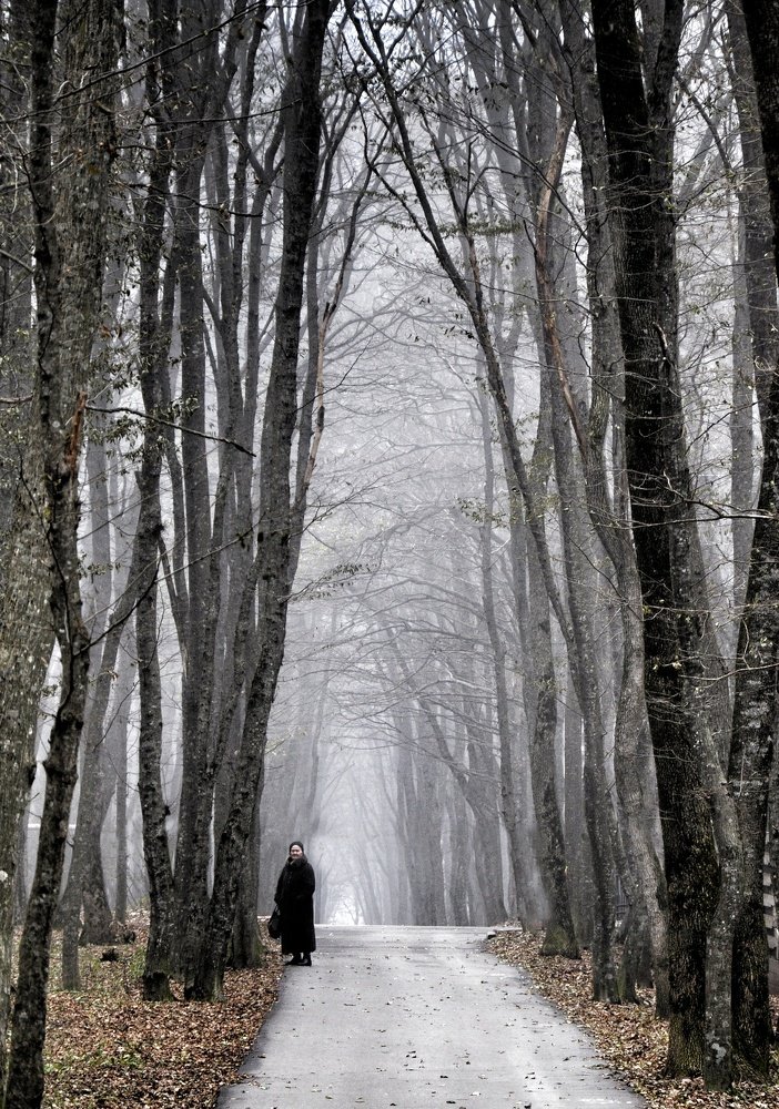 Одна среди высоких деревьев