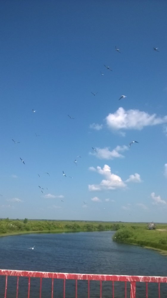 Photo #4367412