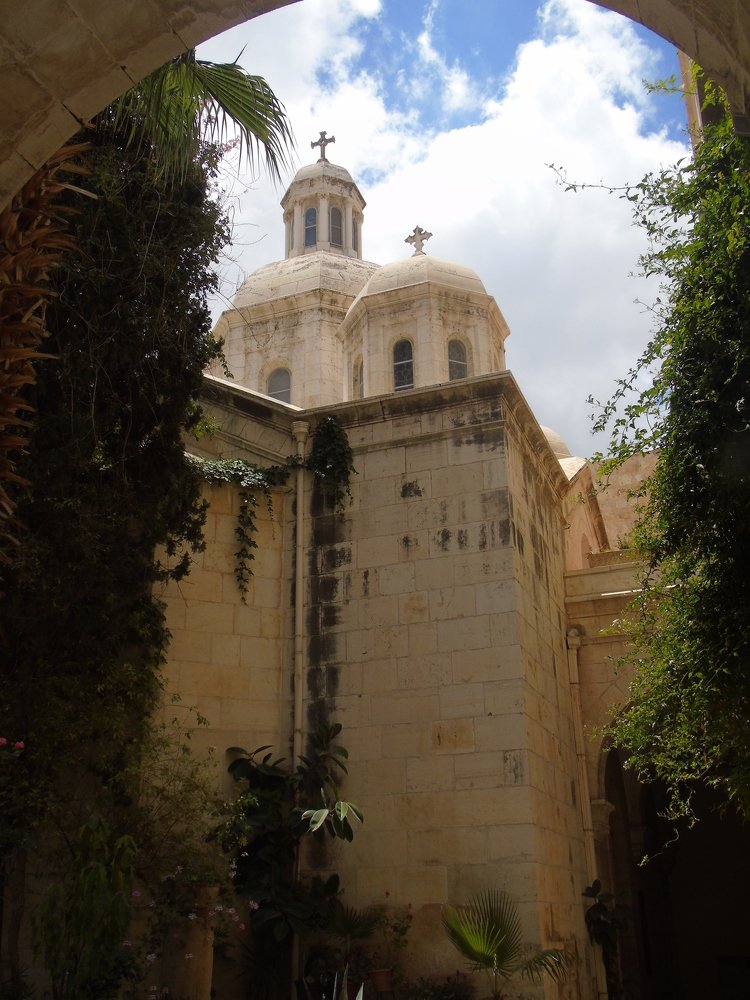 Photograph by SVITLANA