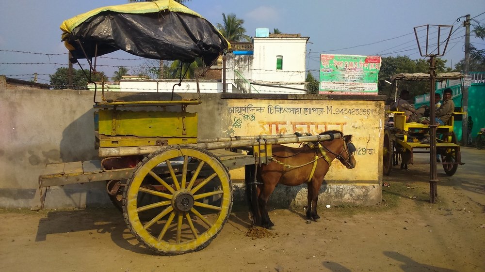 Фотография автора Kalyan Bhowmick