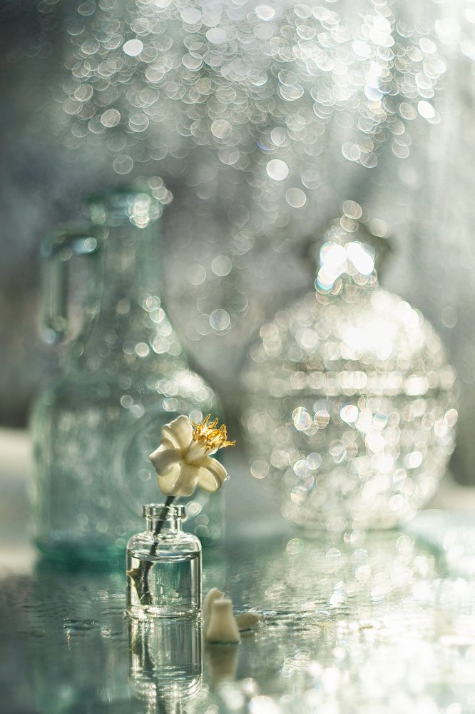 Photograph by Виктория Семернова