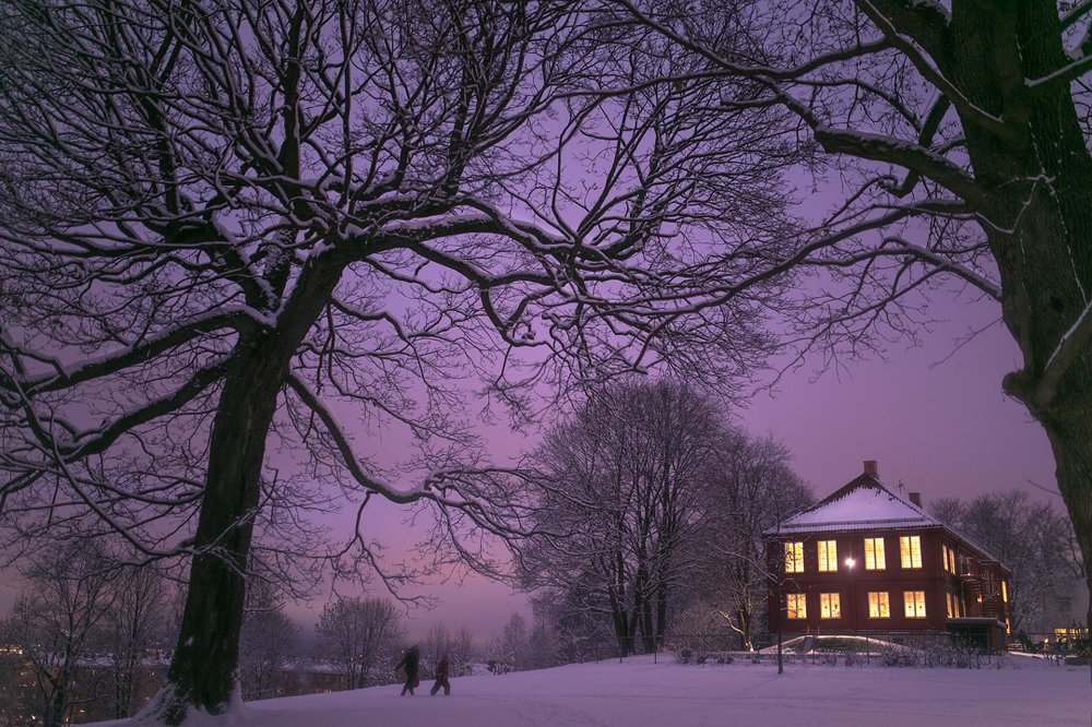 Evening in Oslo