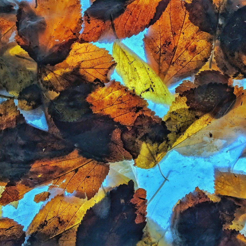 Photograph by Дмитрий Иванченко