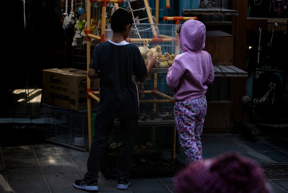 Photograph by Shanavas K T