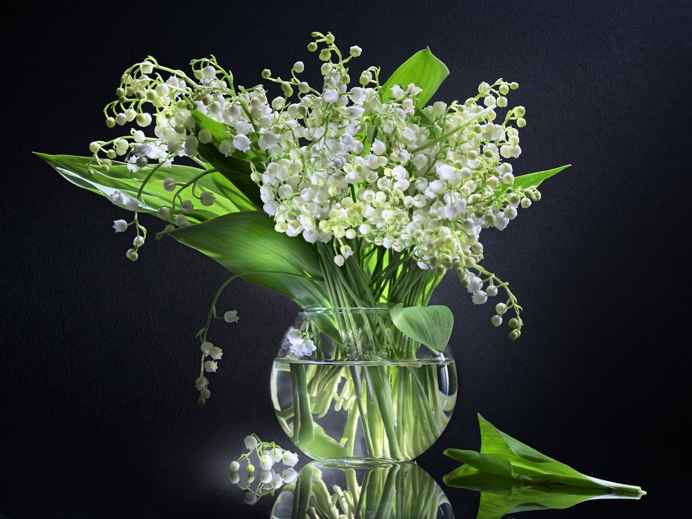 Ландыши, ландыши...