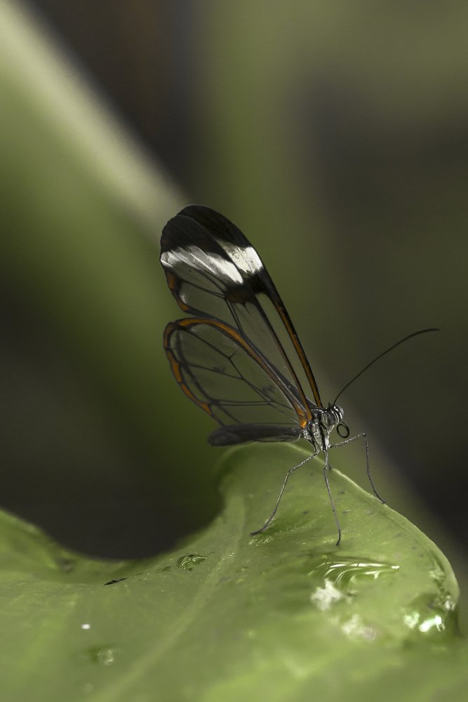 Photograph by Jesus Frias