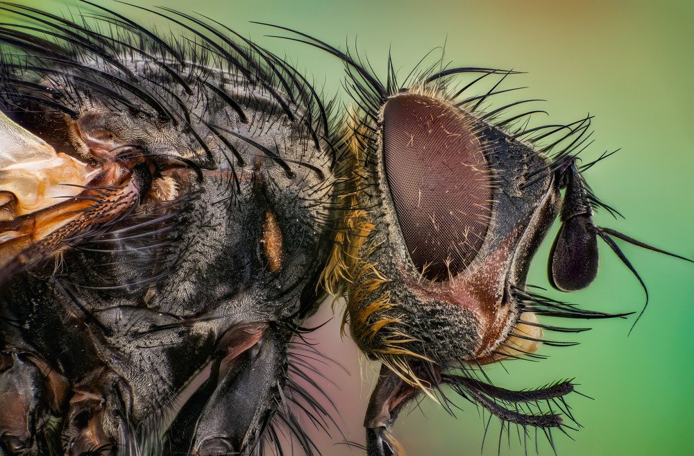 Photograph by Сергей Чупахин