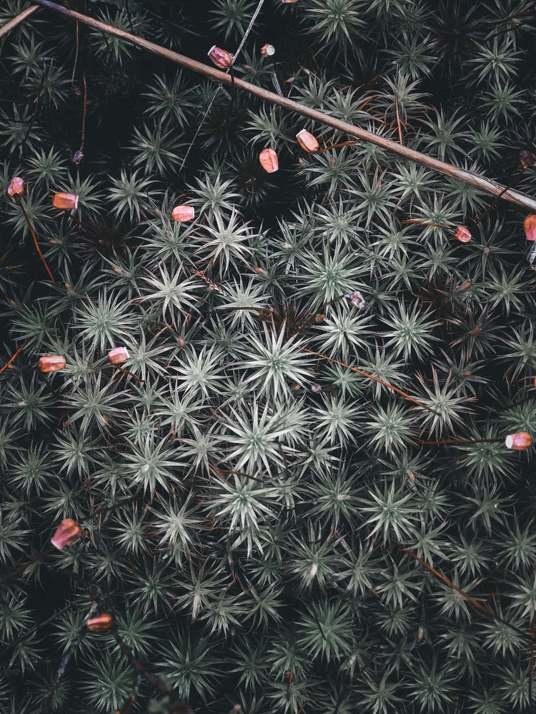 Photograph by Arianna Vernik