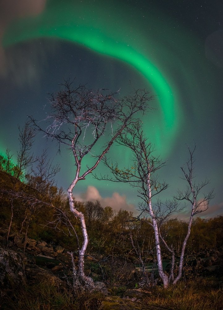 Photograph by Смирнов Валерий