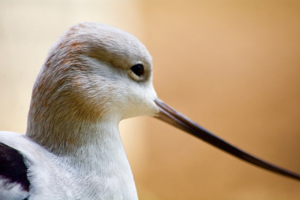 Photograph by Gemma Warren