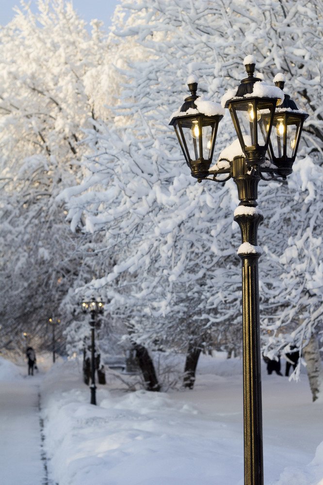 Photograph by Elena Kostochkina