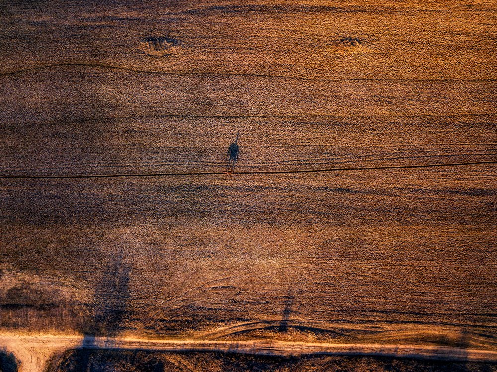 Одинокий всадник