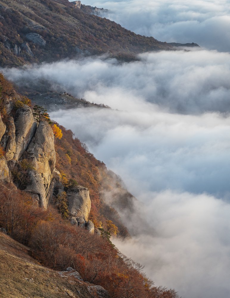 Поляна белых лошадей