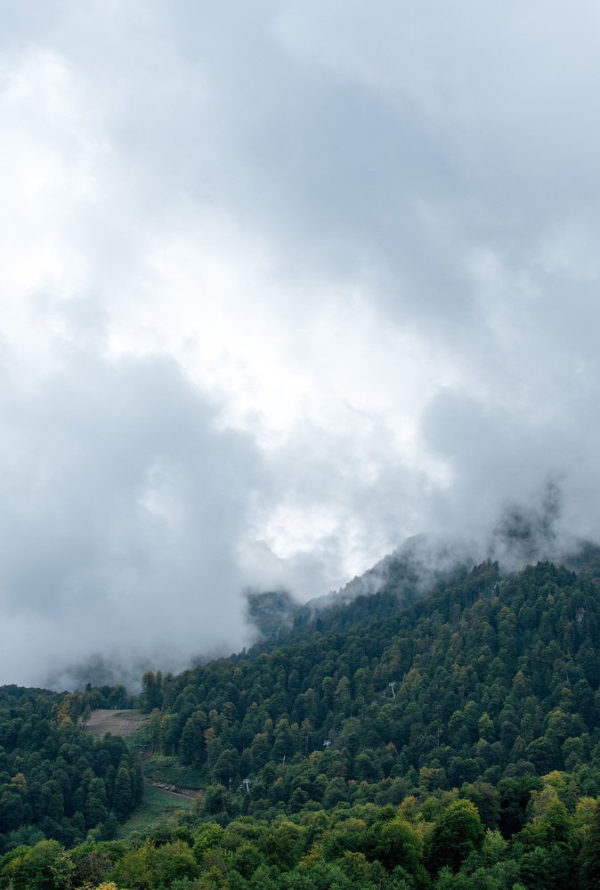 Photograph by Наталья