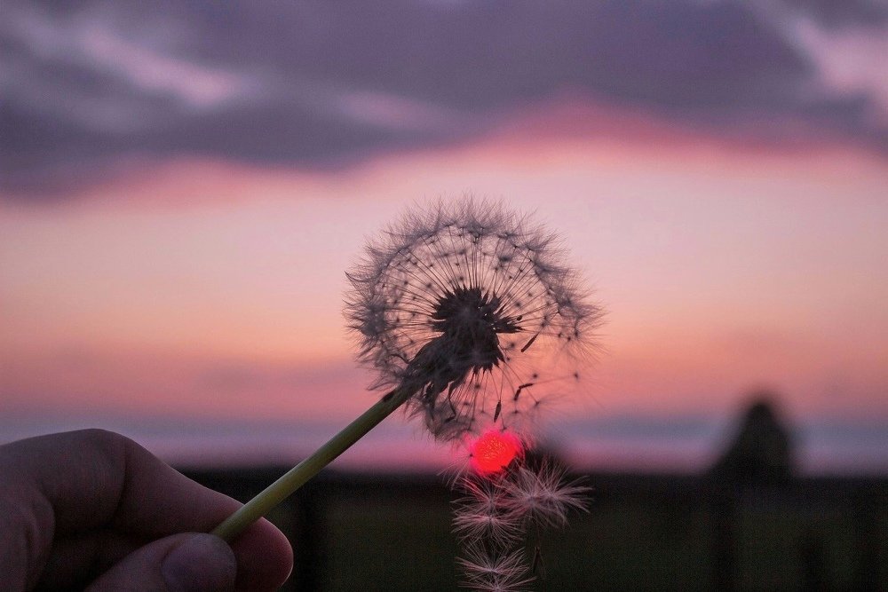 Photograph by Полина Новородонова