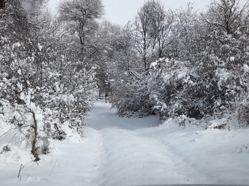 Photograph by Альберт Восканян