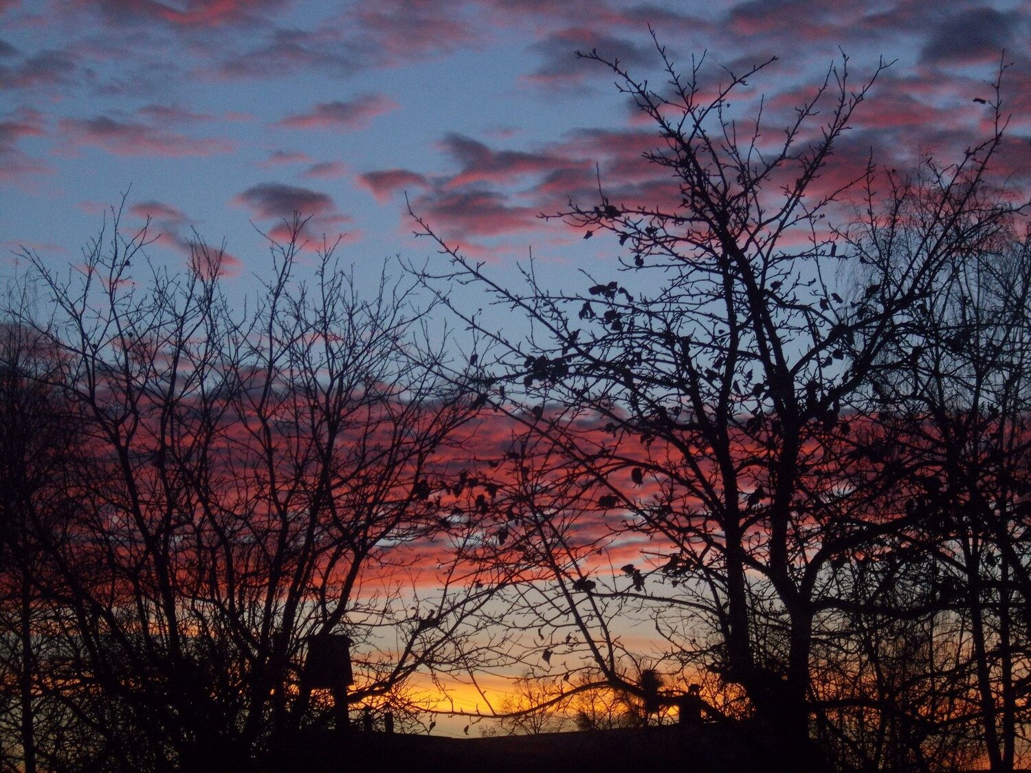 Photo #4367888