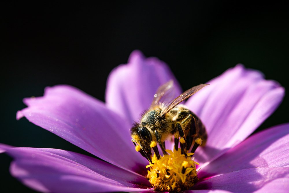 Photograph by Evgeny Pyatkov