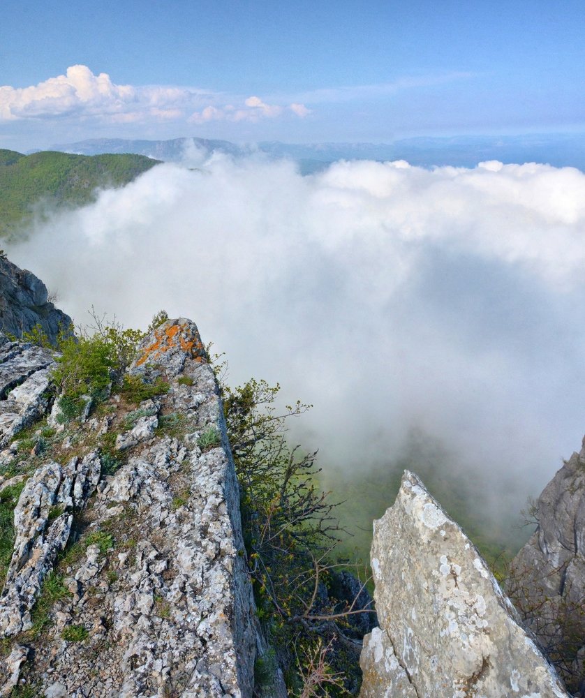 Photograph by Ирина Подушкина