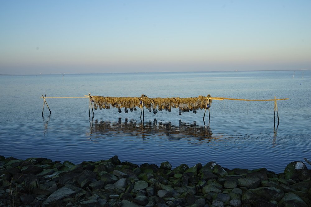 Photograph by Giovanni Tosti