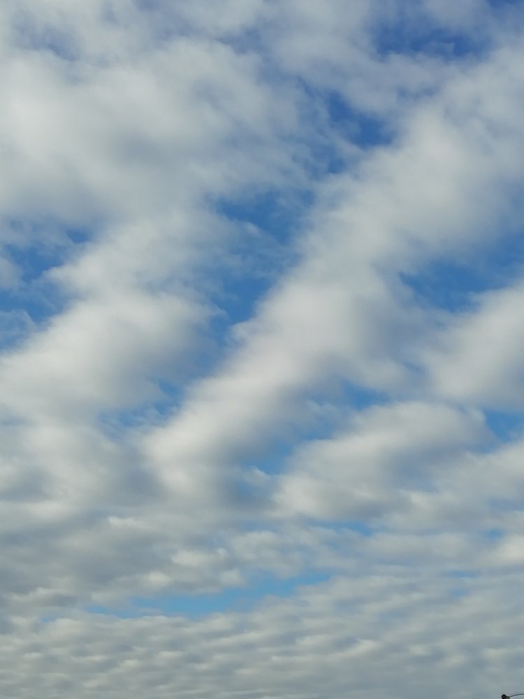 Photograph by Sanja Dabić