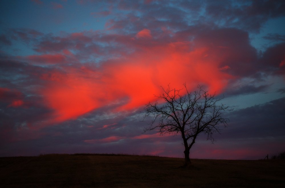 Photograph by Milan Uhrin