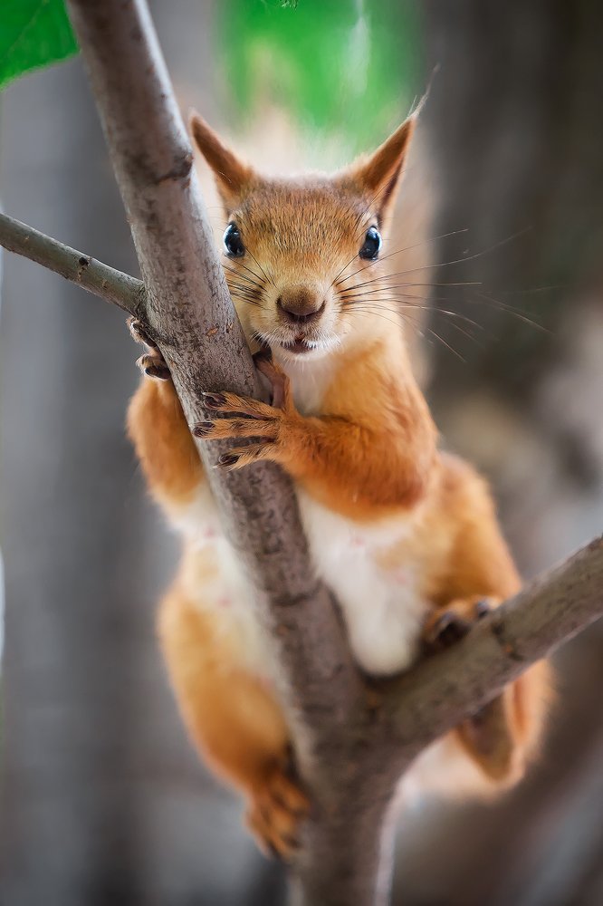 Photograph by Владимир Салапонов