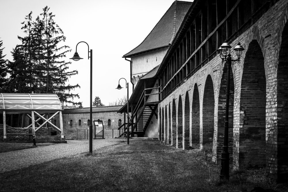 Photograph by Levente Zsolt Gal