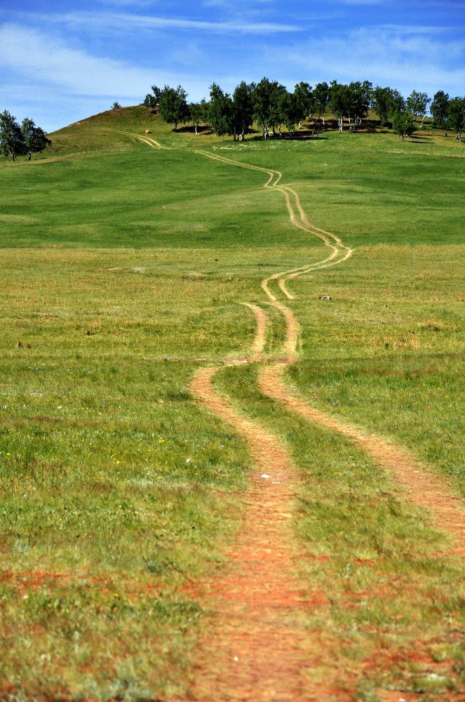 Photograph by Петр Приходько