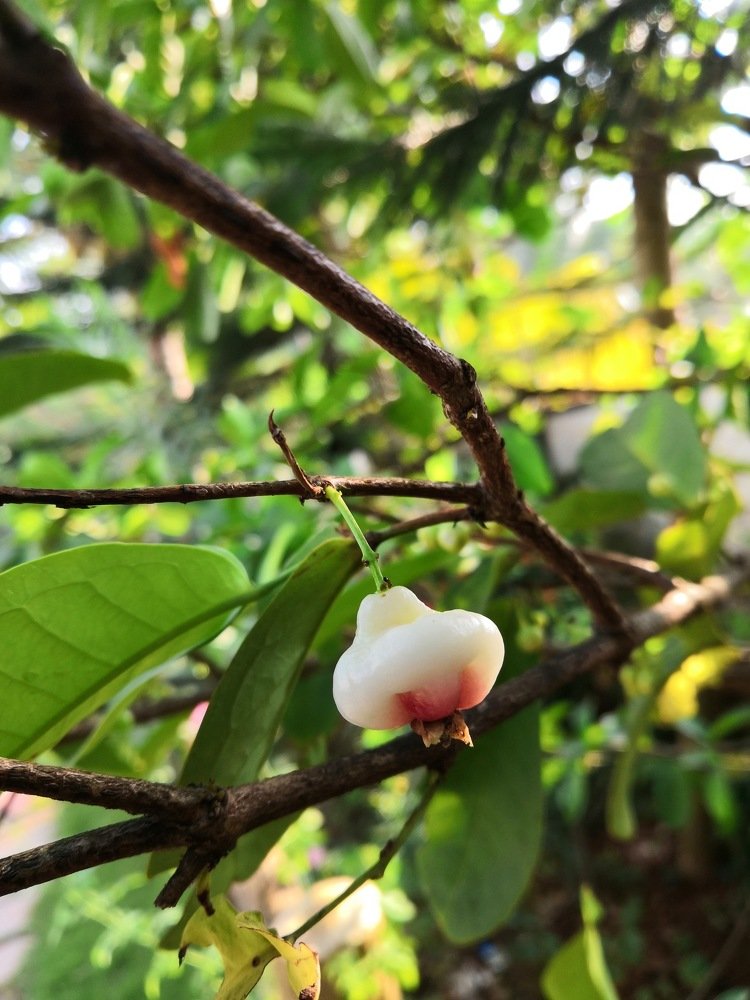 Photograph by Mahesh KV