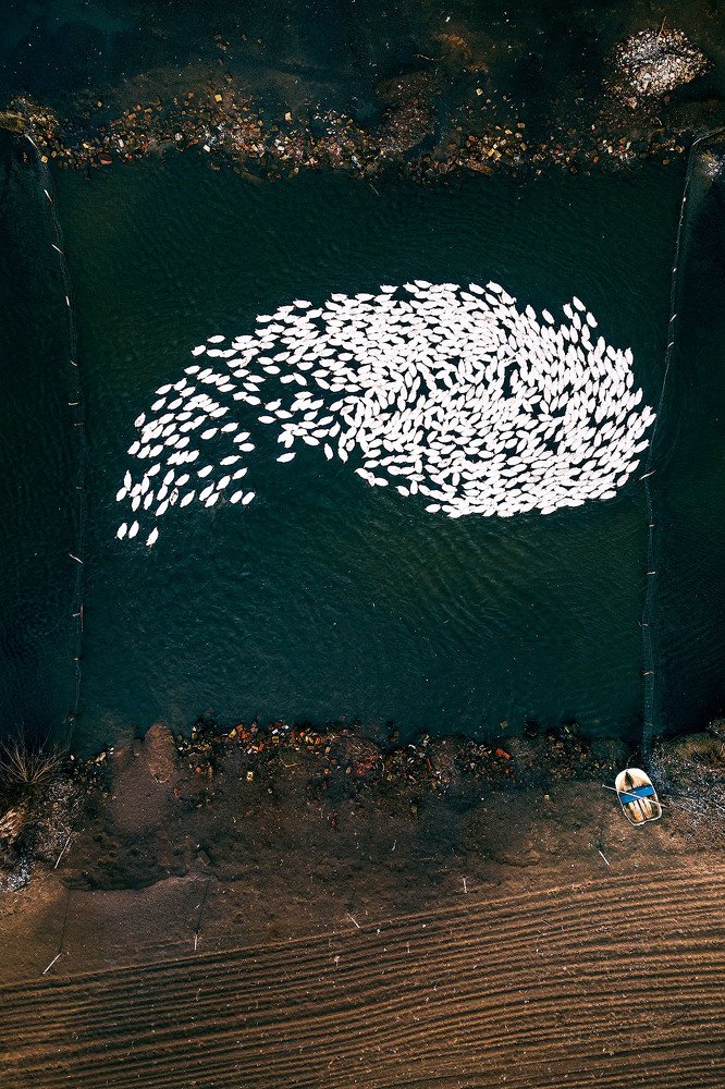 Photograph by Kasjan Farbisz