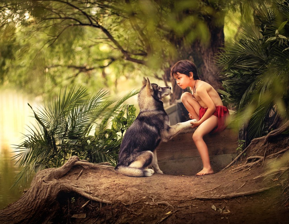 Фотография автора Алла Никитина