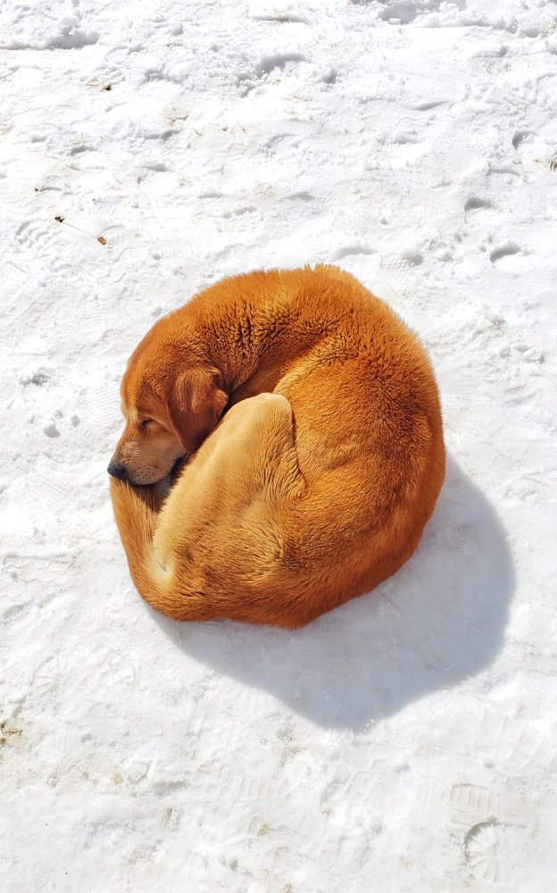 Photograph by Suranjan Sigdel