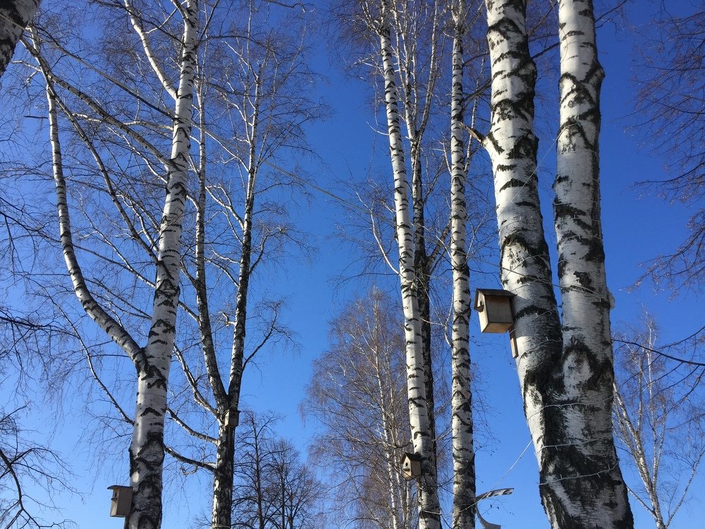 Photograph by Гульчачак Касымова