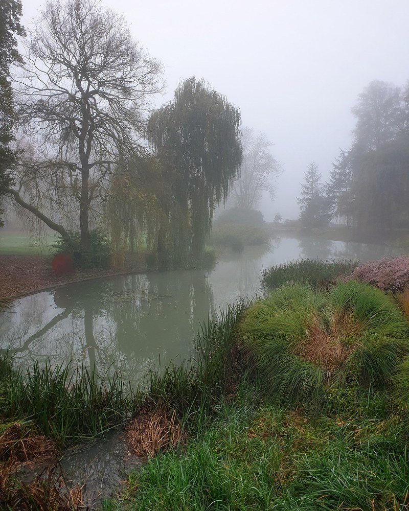 Утро в парке