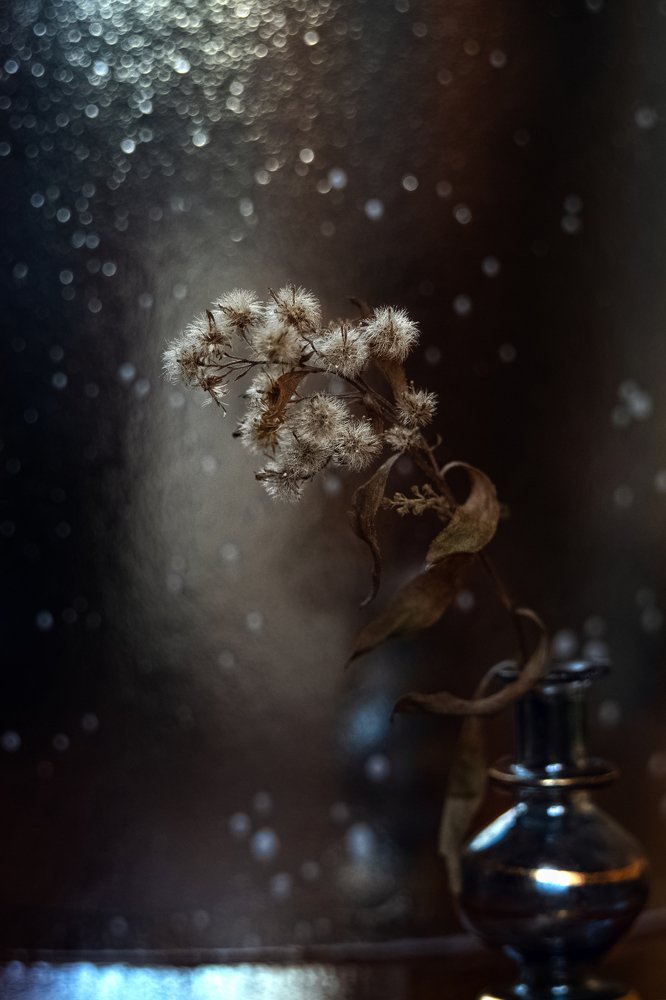 Свет настроения