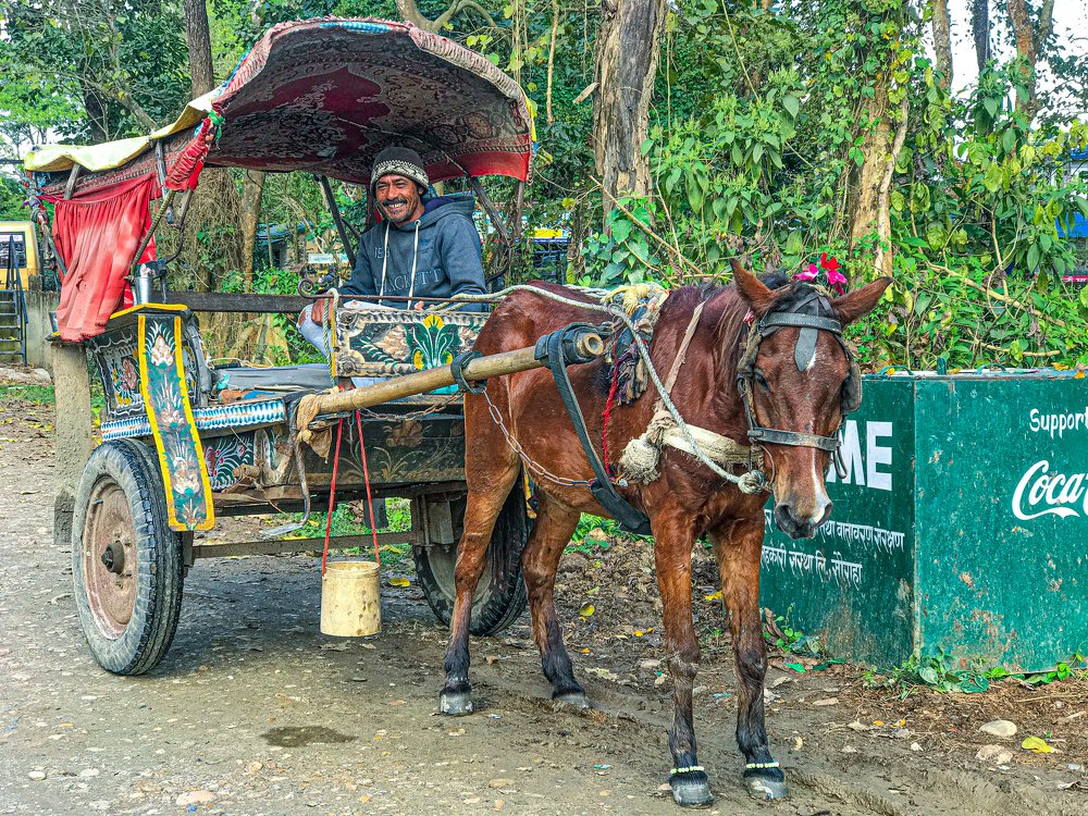 Photograph by Kushal Sapkota