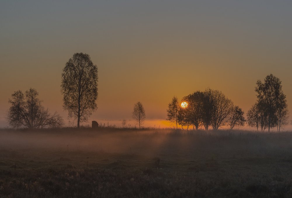Пробуждение