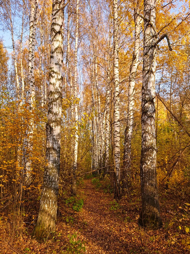 Photograph by Сергей Васьков
