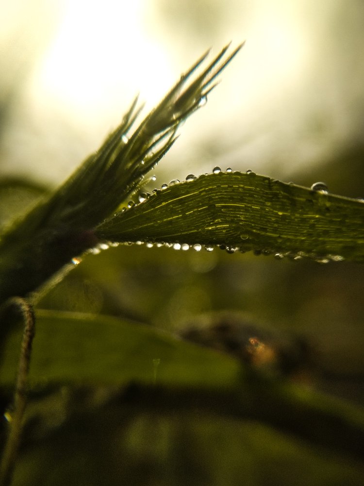 Photograph by Harsh Kushwah