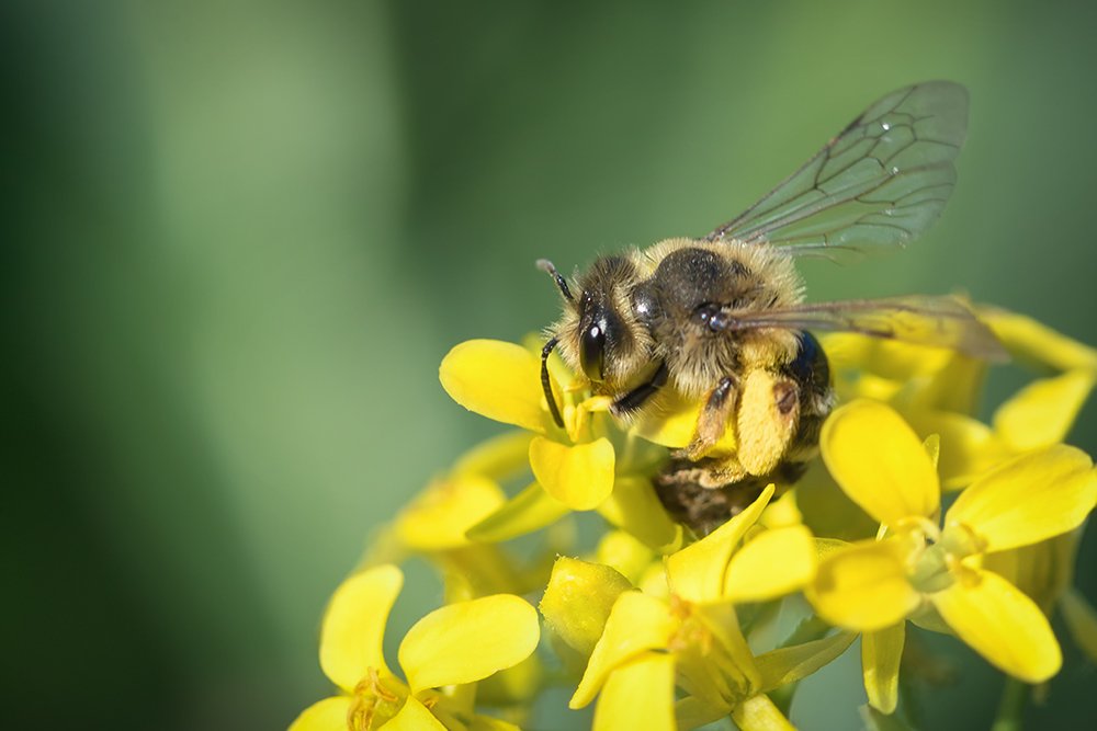 Photograph by Марина Хилько