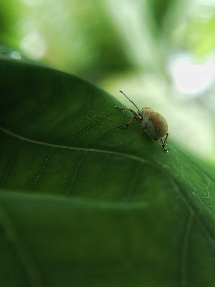 Photograph by Ramakrishnan Varun