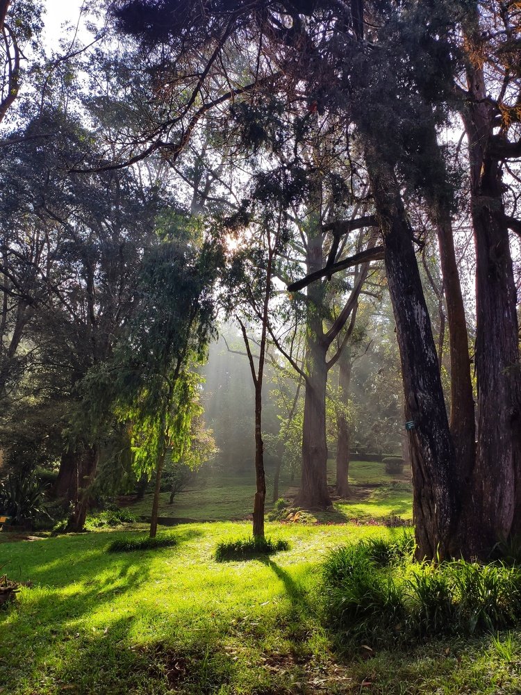 Photograph by Suvarna