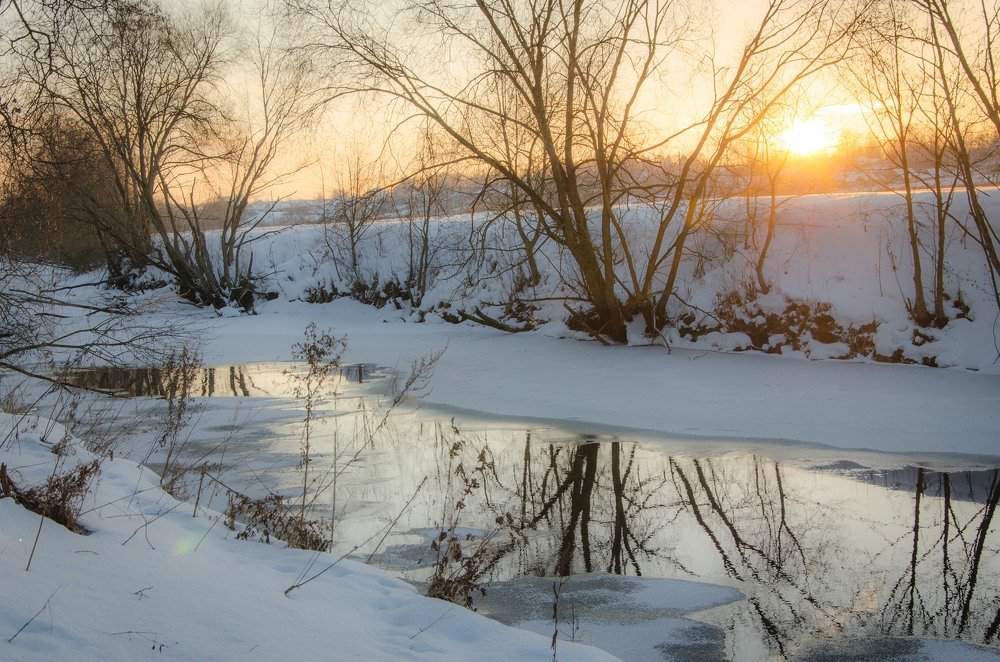 Photograph by Фролкова Елена