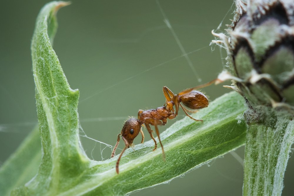 Photograph by Марина Хилько