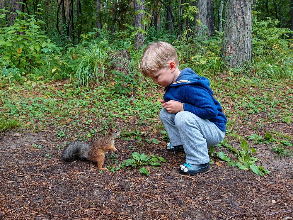 Photograph by Сергей Васьков